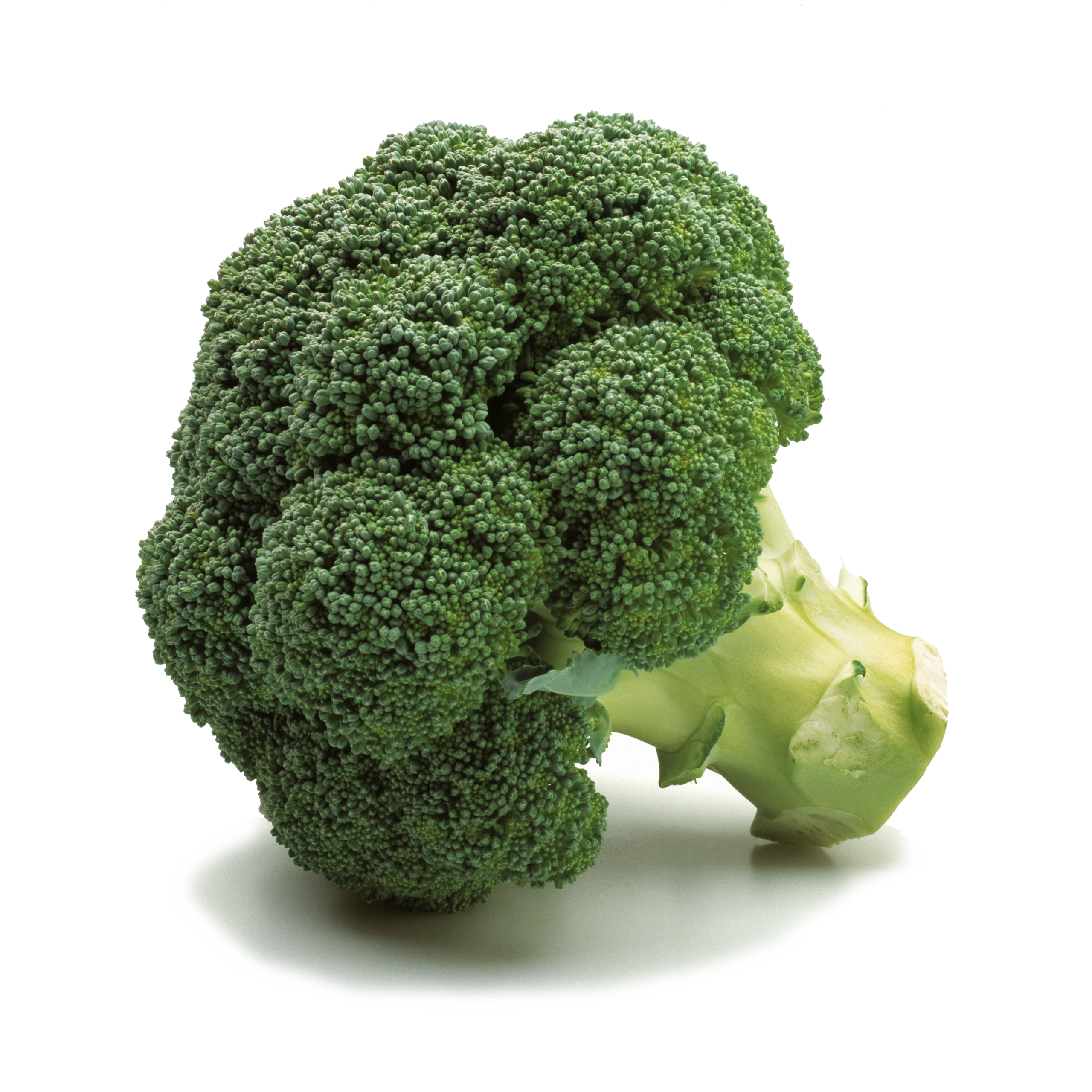 broccoli2_PID